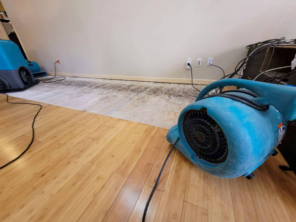 Professional Basement Flood Cleanup technician working in Santa Clara, UT